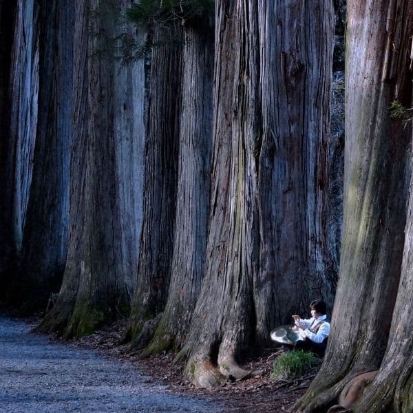 打禅　戸隠神社奥社