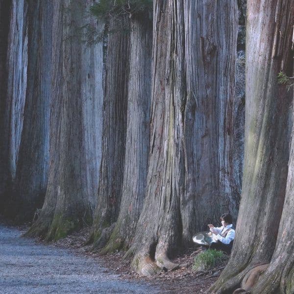 打禅　戸隠神社奥社